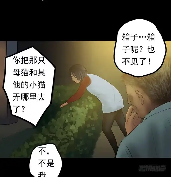 画诡 猫-1 第58页