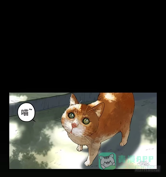 画诡 猫-1 第1页