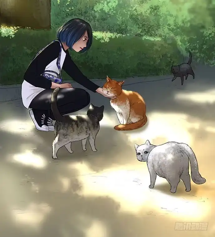 画诡 猫-1 第5页