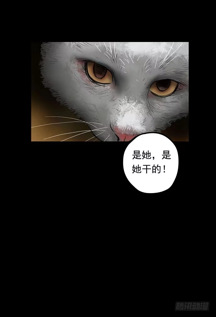 画诡 猫-1 第62页