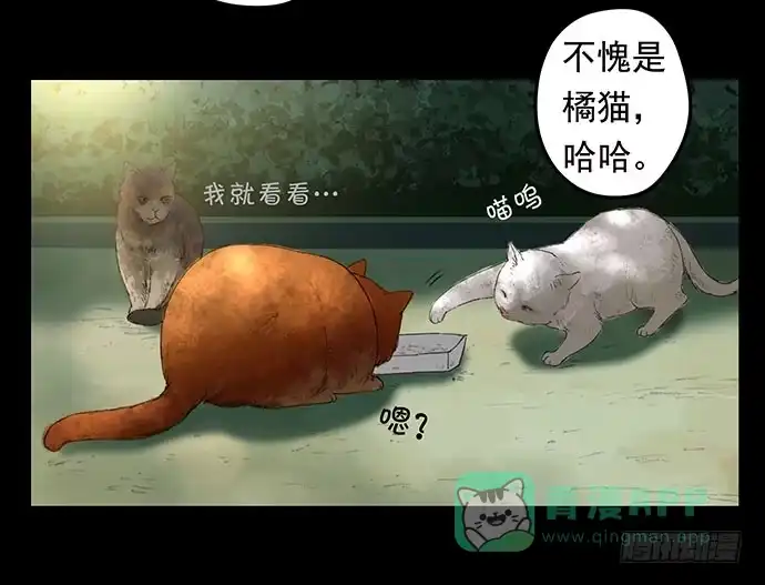 画诡 猫-1 第11页