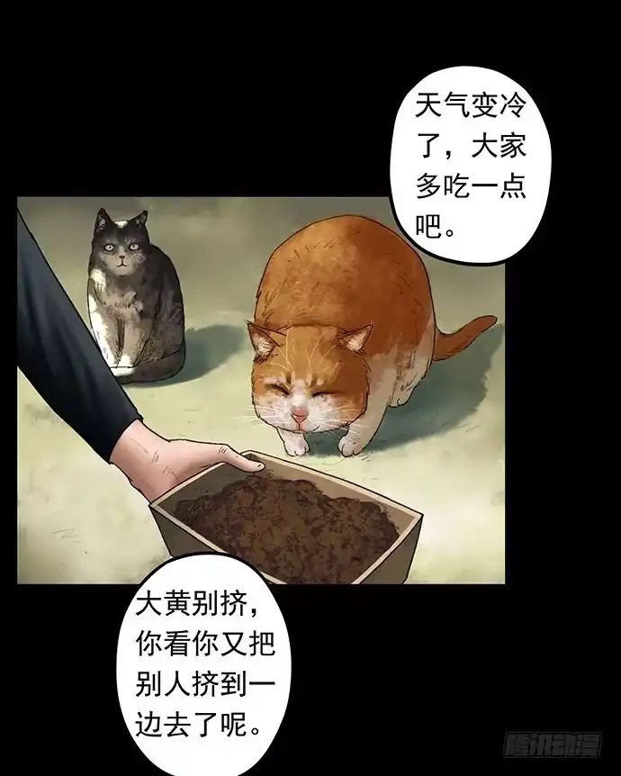 画诡 猫-1 第10页
