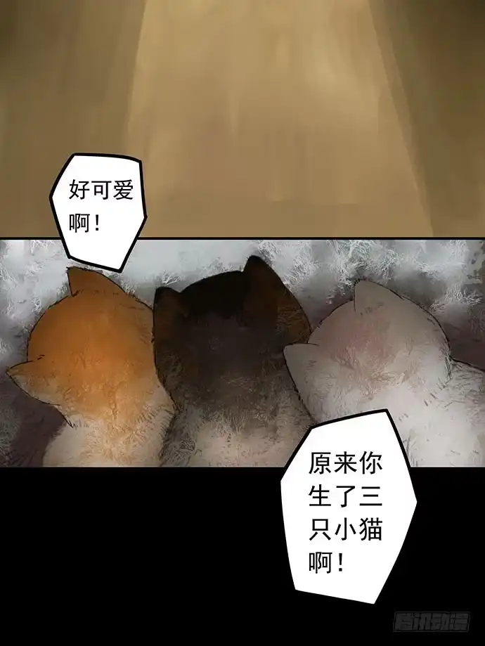 画诡 猫-1 第18页