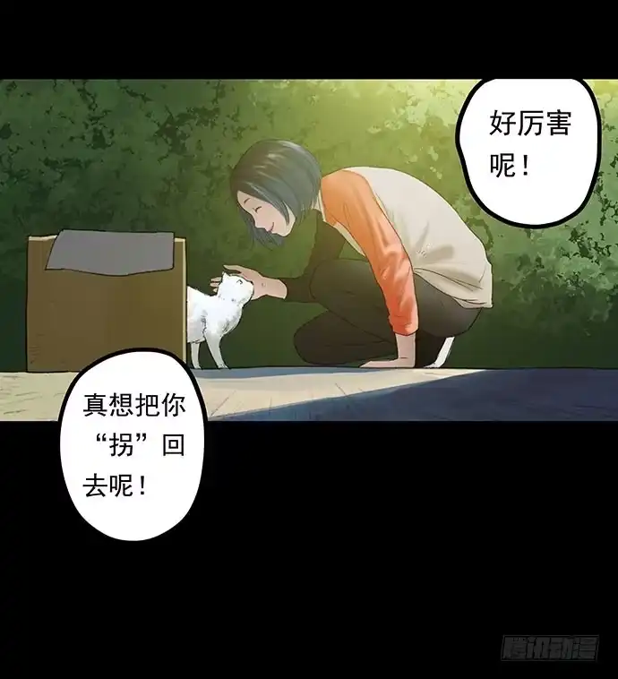 画诡 猫-1 第19页