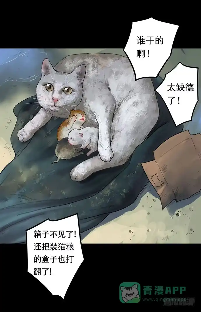 画诡 猫-1 第41页