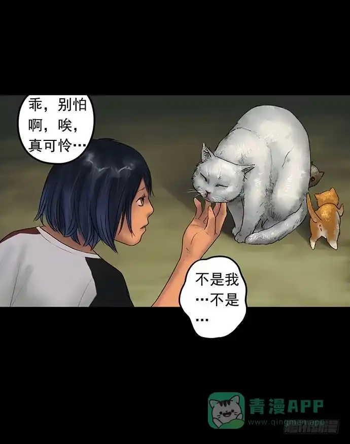画诡 猫-1 第61页