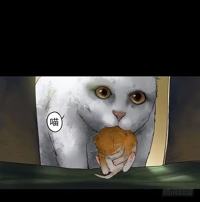 画诡 猫-1 第45页