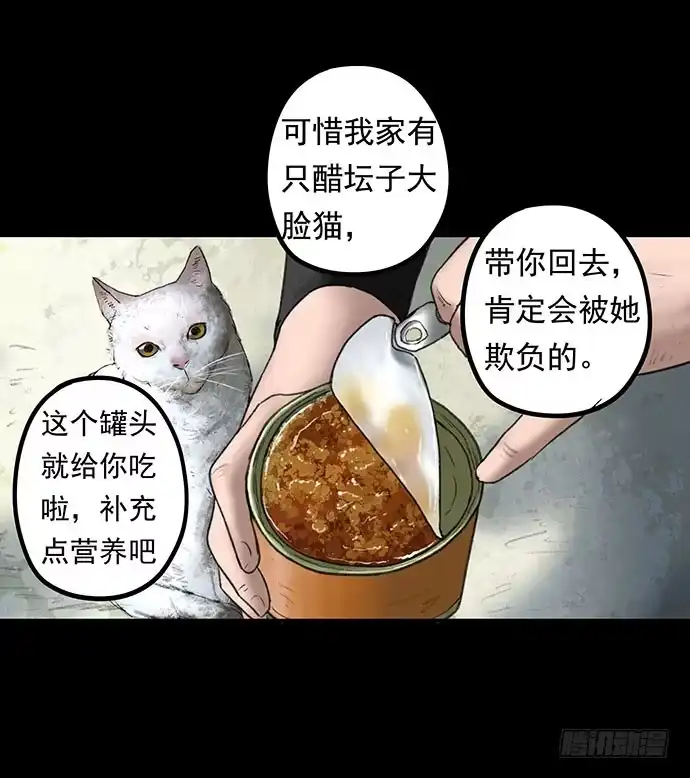 画诡 猫-1 第20页