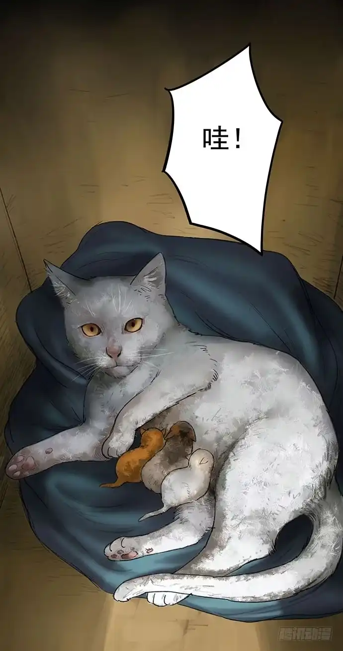 画诡 猫-1 第17页