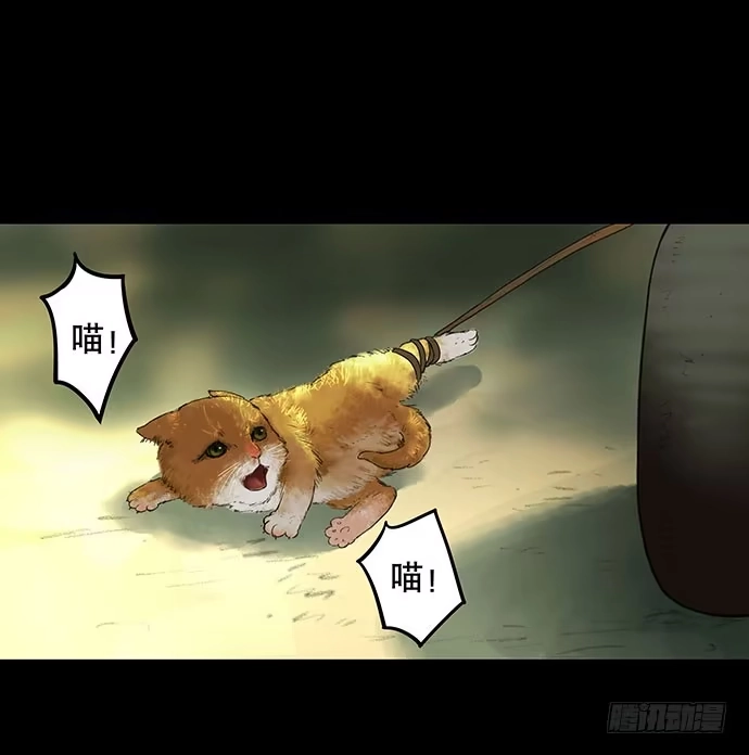 画诡 猫-2 第17页