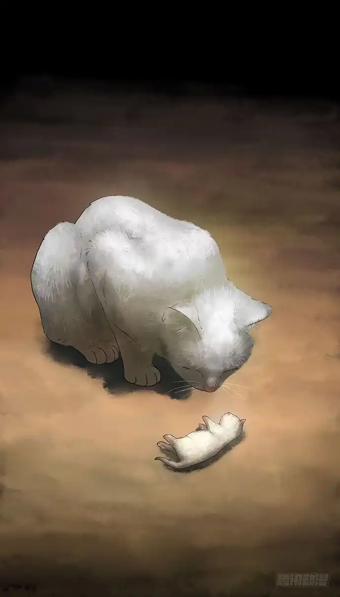 画诡 猫-2 第2页