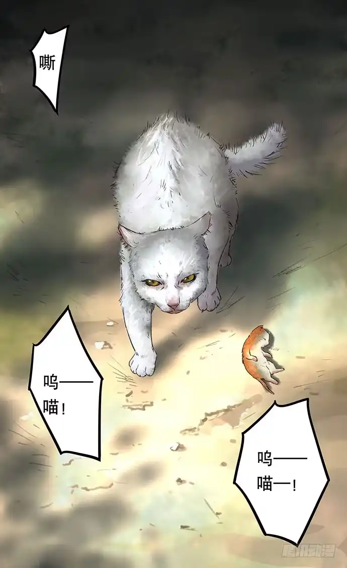 画诡 猫-2 第38页