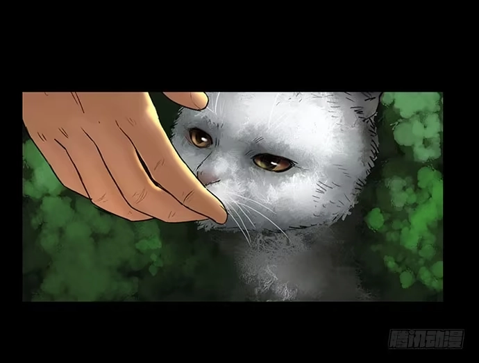 画诡 猫-2 第63页