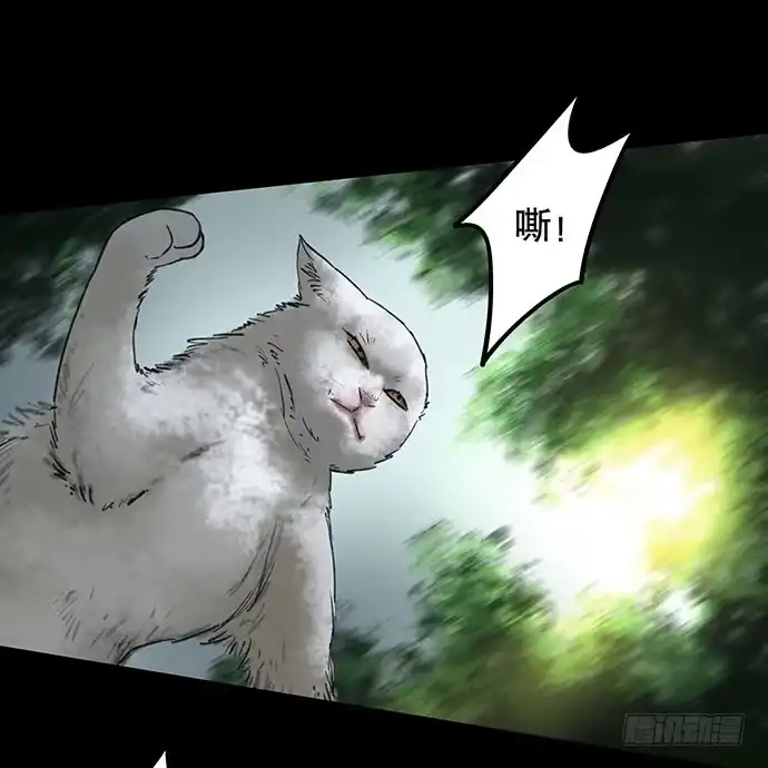 画诡 猫-2 第39页
