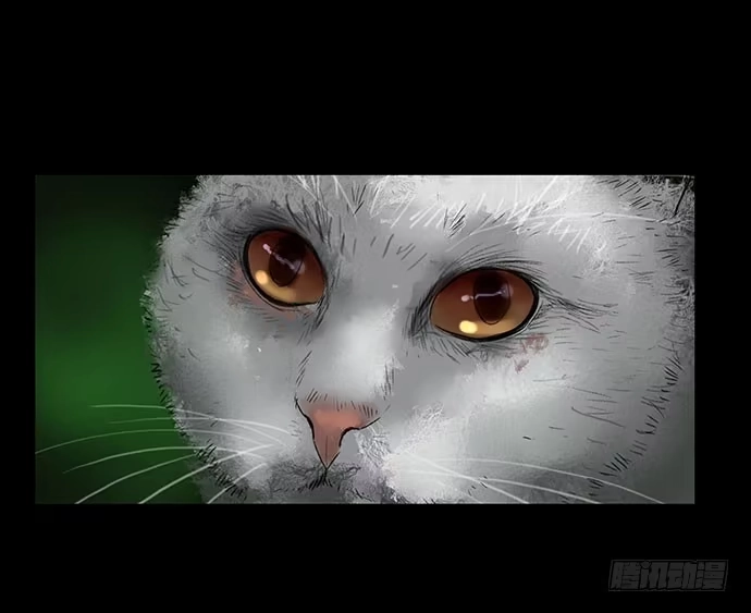 画诡 猫-2 第62页