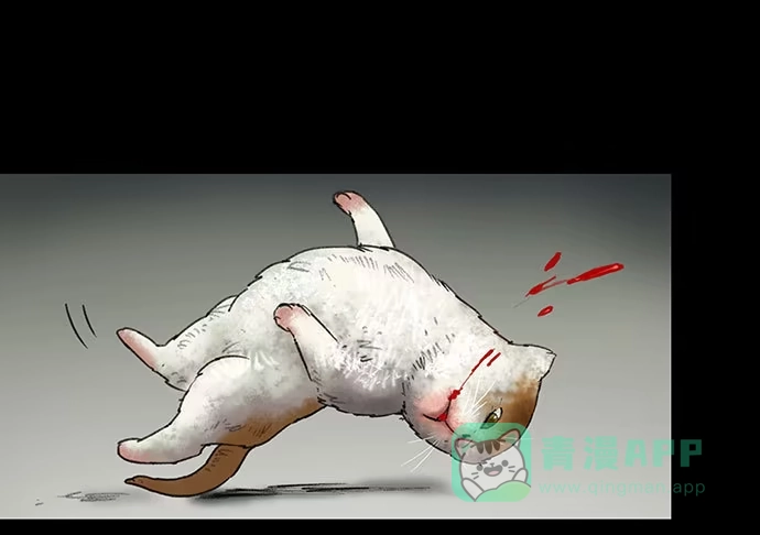 画诡 猫-2 第36页