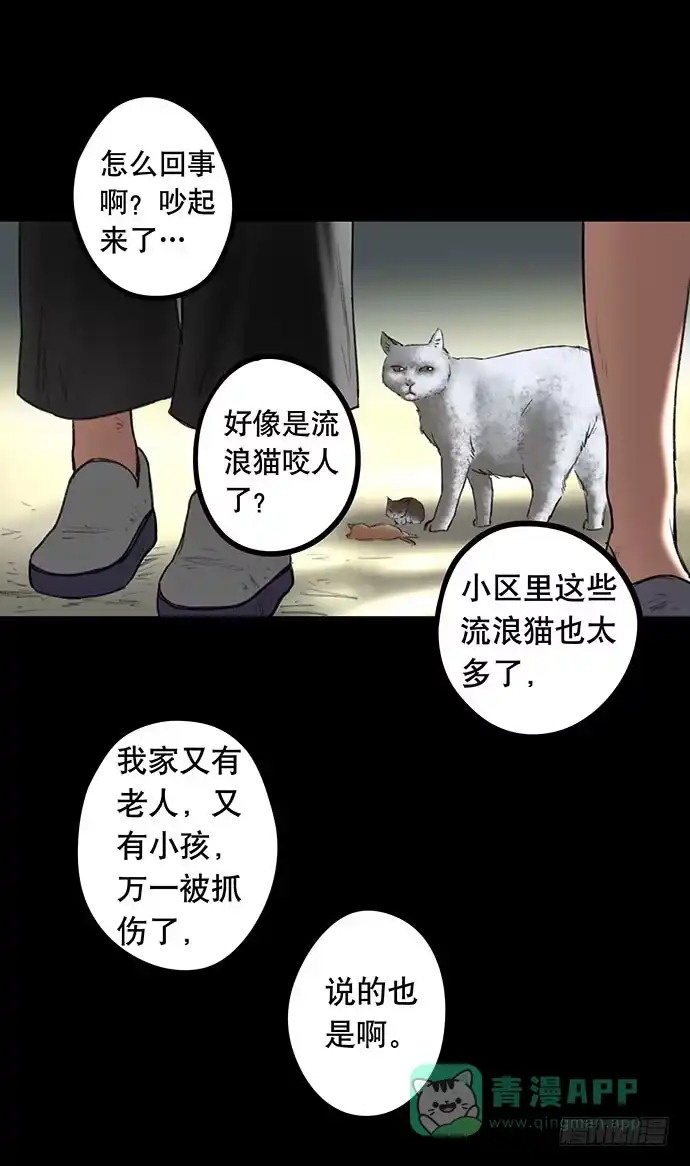 画诡 猫-2 第56页