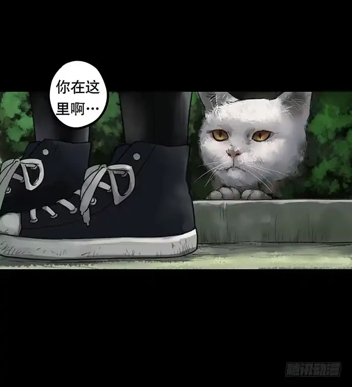 画诡 猫-2 第60页