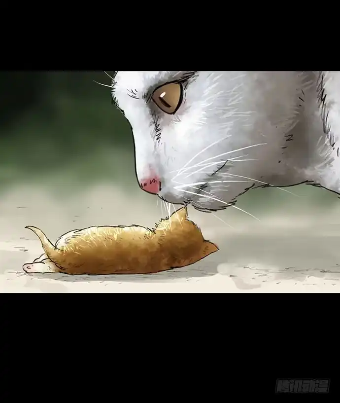画诡 猫-2 第33页