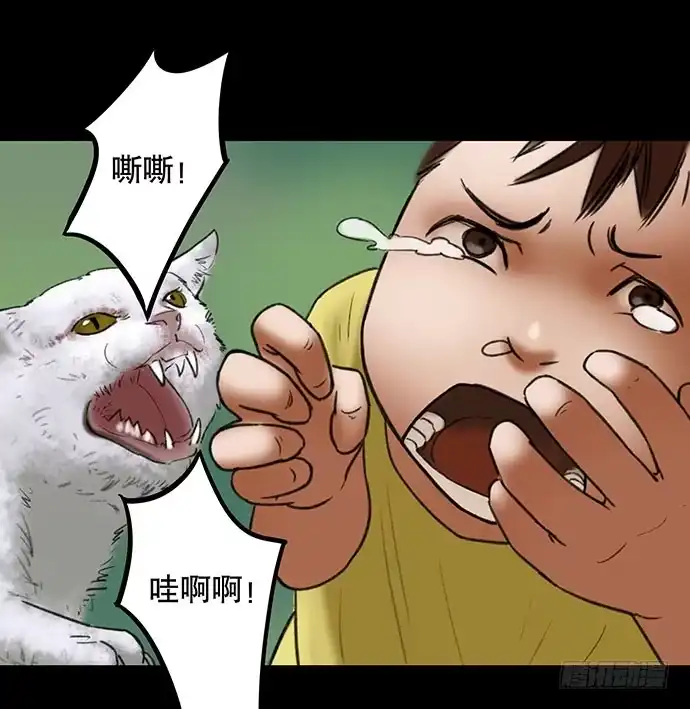 画诡 猫-2 第42页