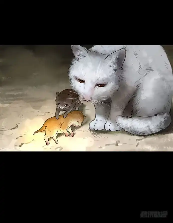 画诡 猫-2 第32页