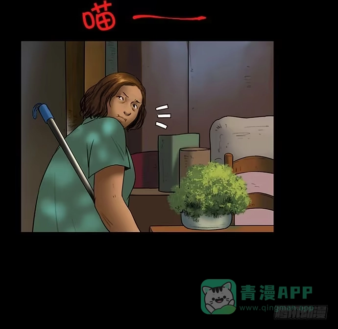 画诡 猫-3 第31页