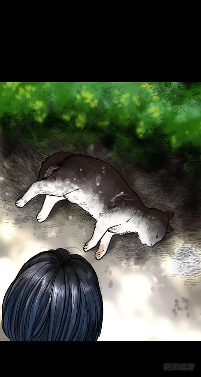 画诡 猫-3 第54页