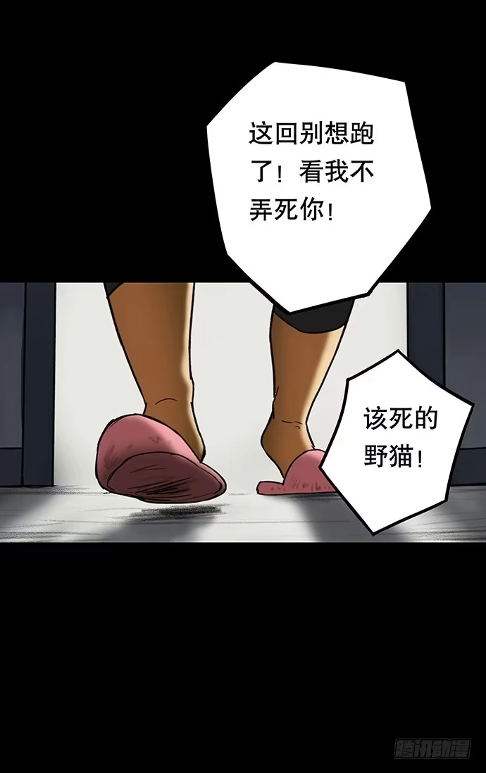 画诡 猫-3 第34页