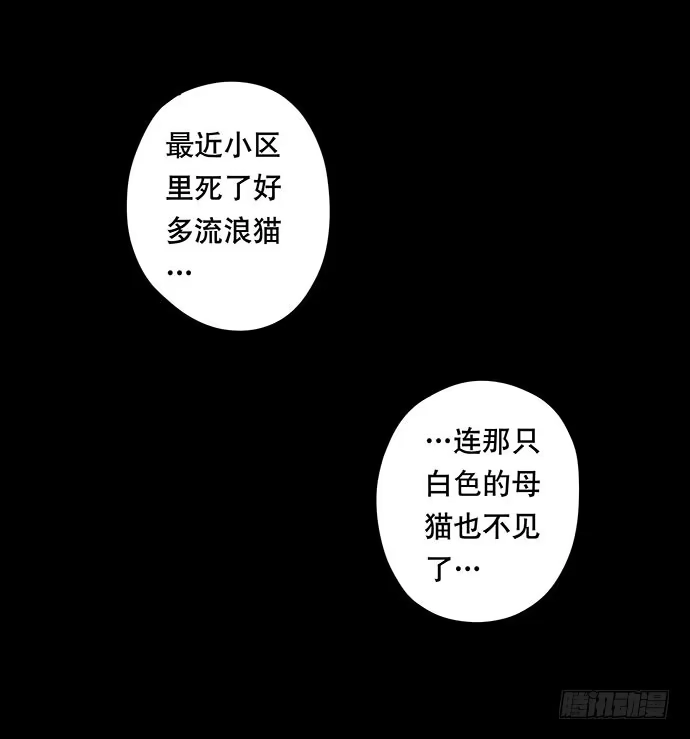 画诡 猫-3 第57页