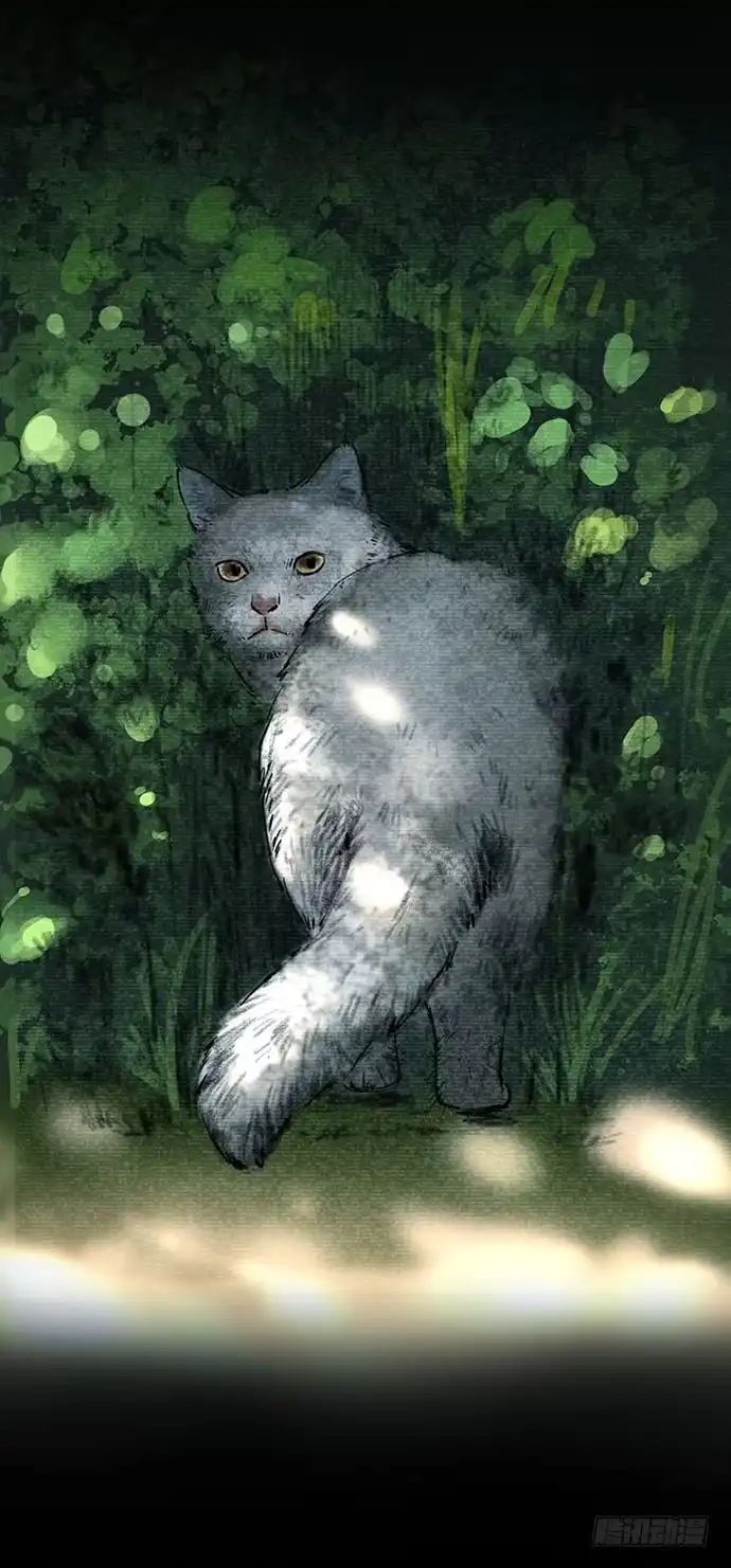 画诡 猫-3 第4页