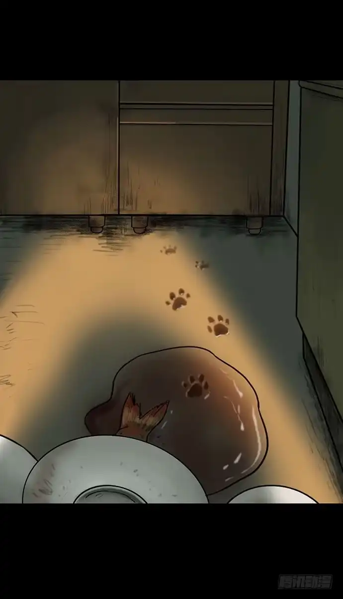 画诡 猫-3 第22页