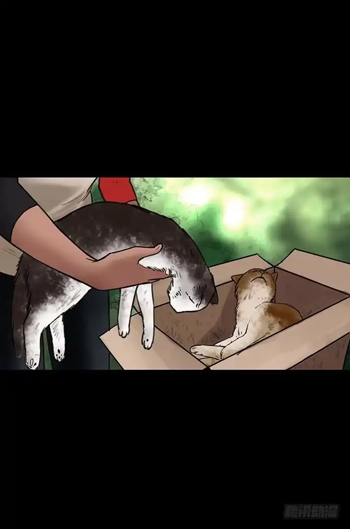 画诡 猫-3 第55页