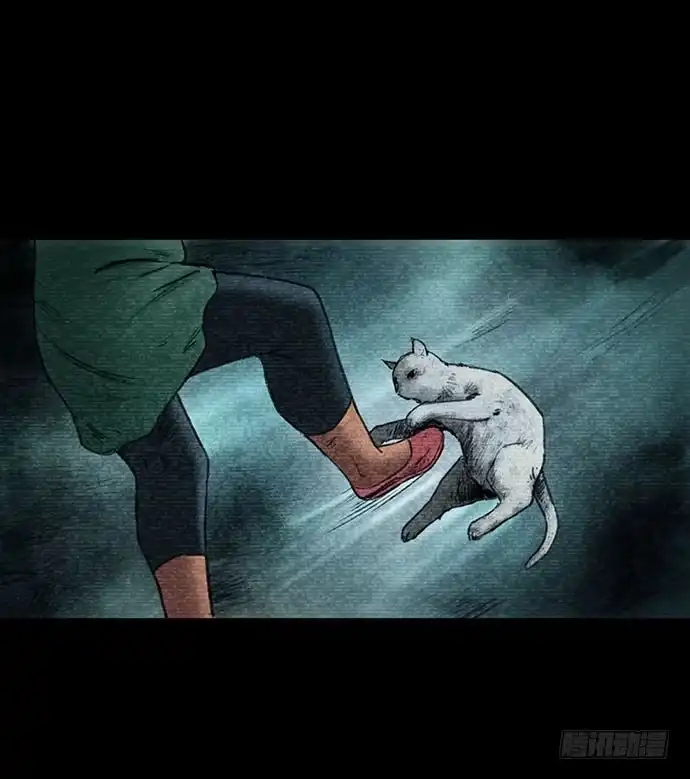 画诡 猫-3 第2页