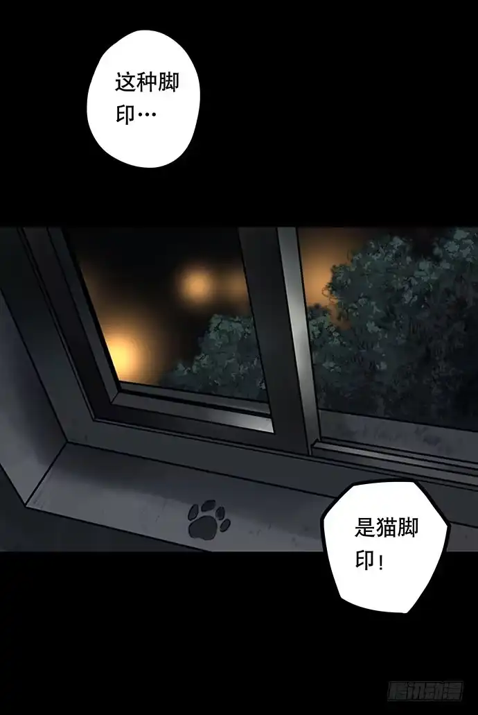 画诡 猫-3 第24页