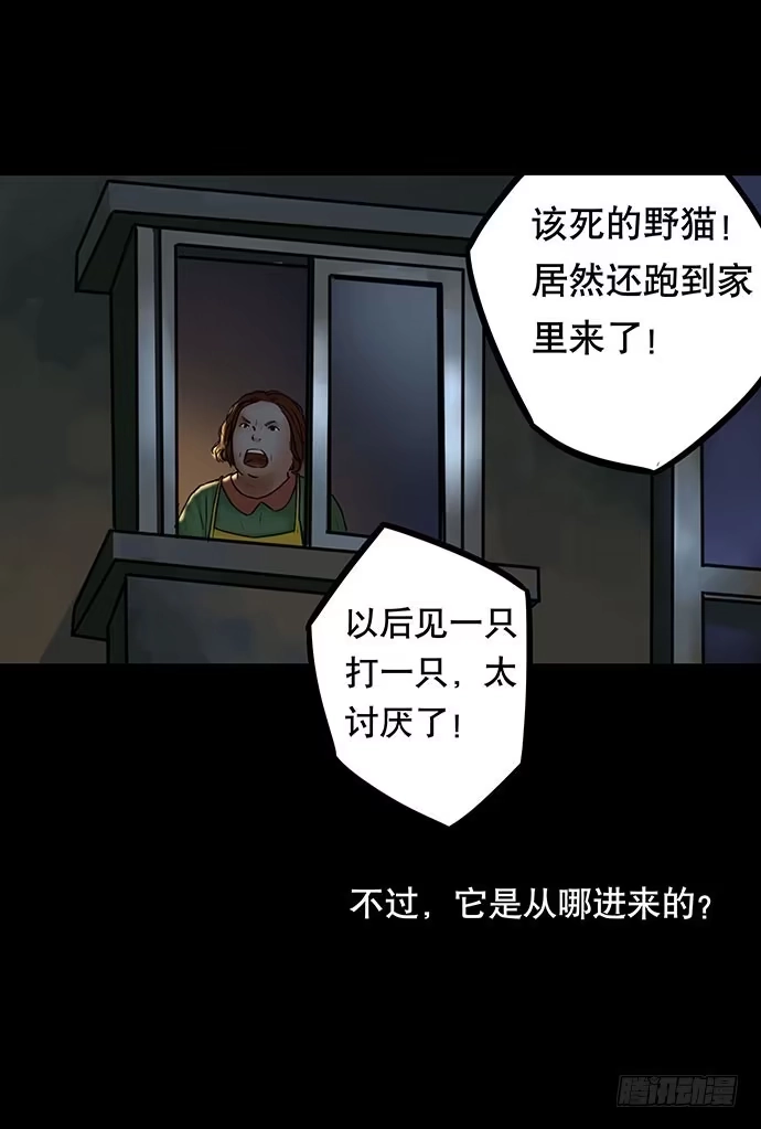 画诡 猫-3 第25页