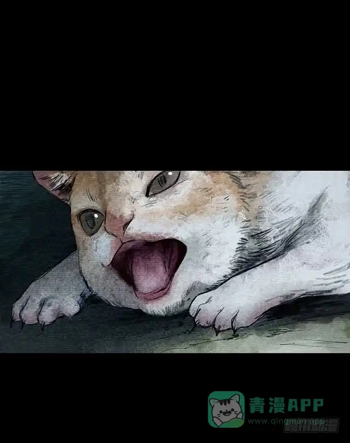 画诡 猫-3 第1页