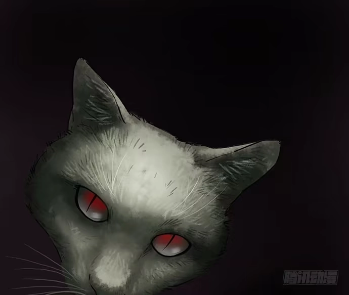 画诡 猫-4 第17页