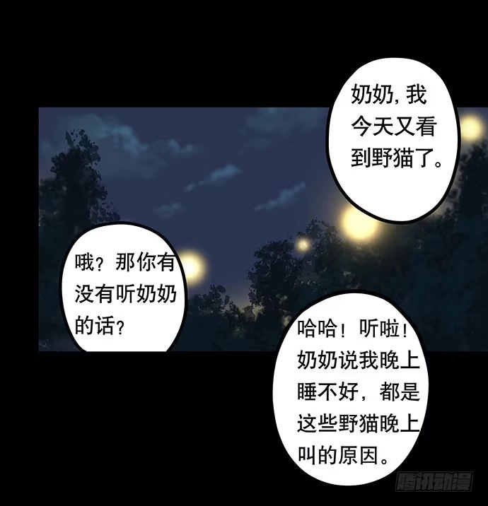 画诡 猫-4 第57页