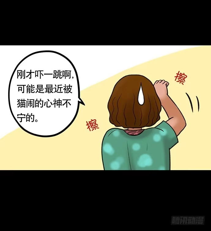 画诡 猫-4 第37页