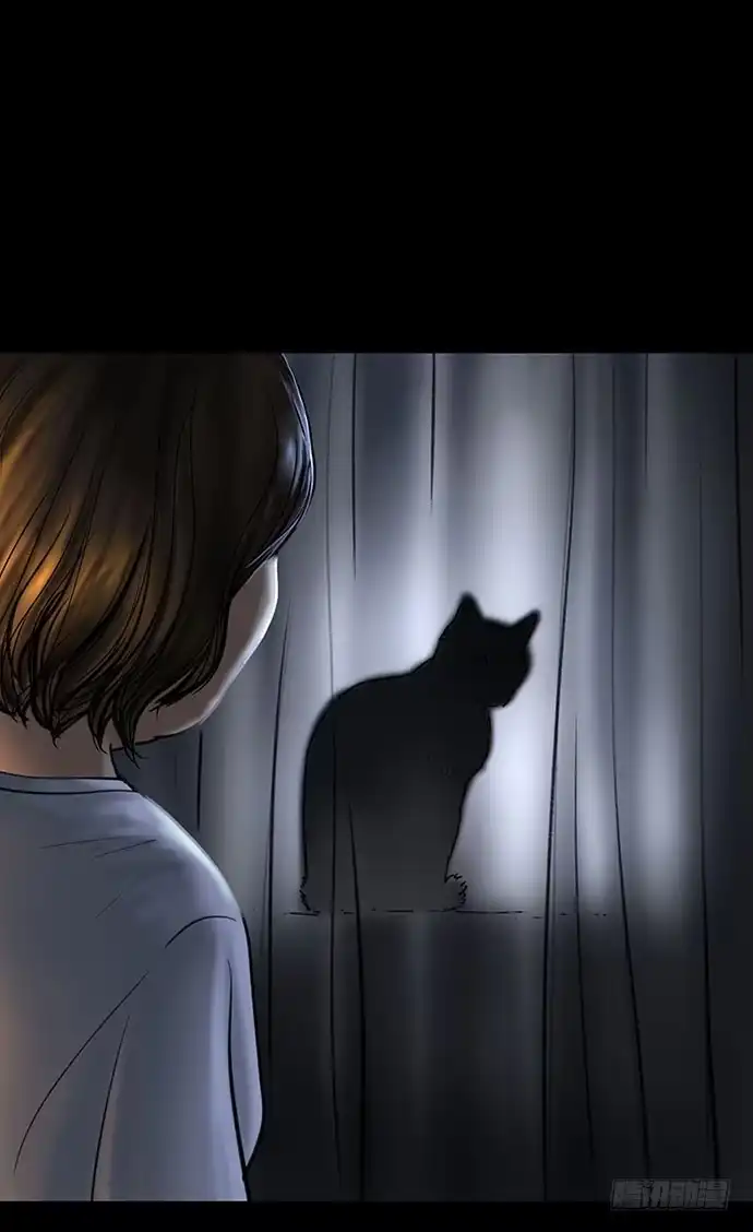 画诡 猫-4 第9页