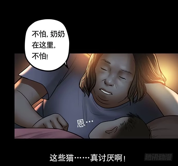 画诡 猫-4 第22页