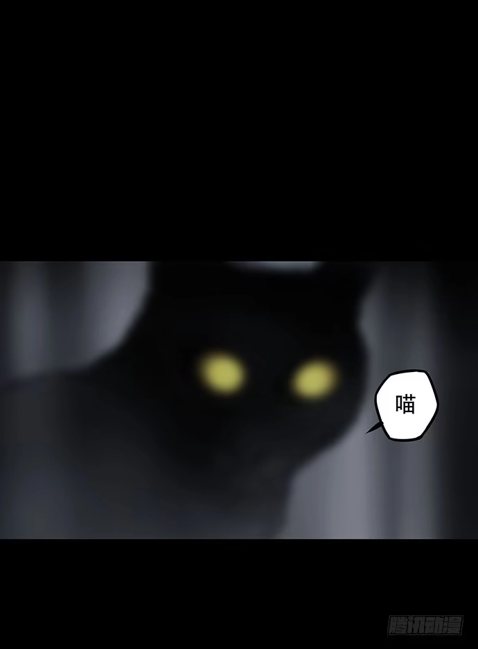 画诡 猫-4 第10页