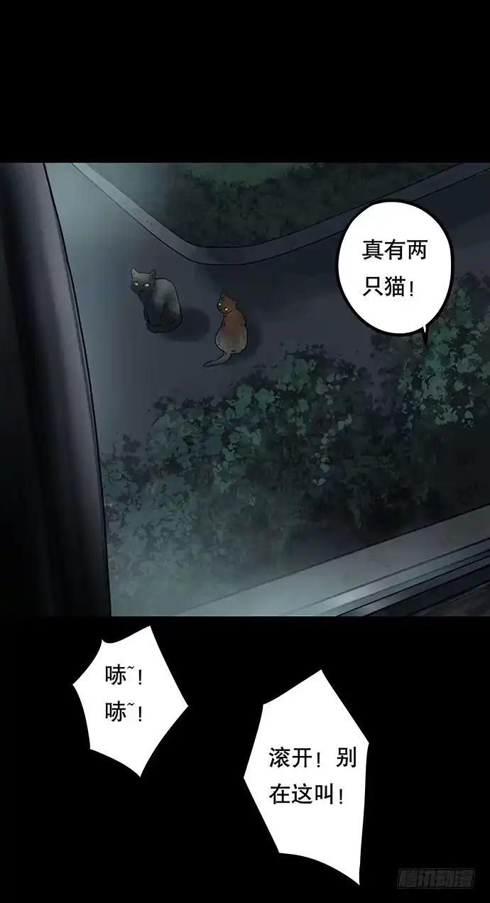 画诡 猫-4 第14页