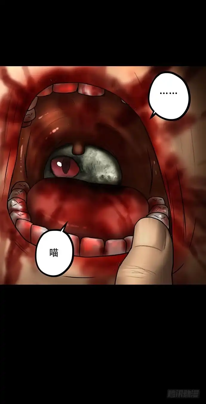 画诡 猫-5 第17页