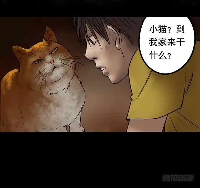 画诡 猫-5 第48页