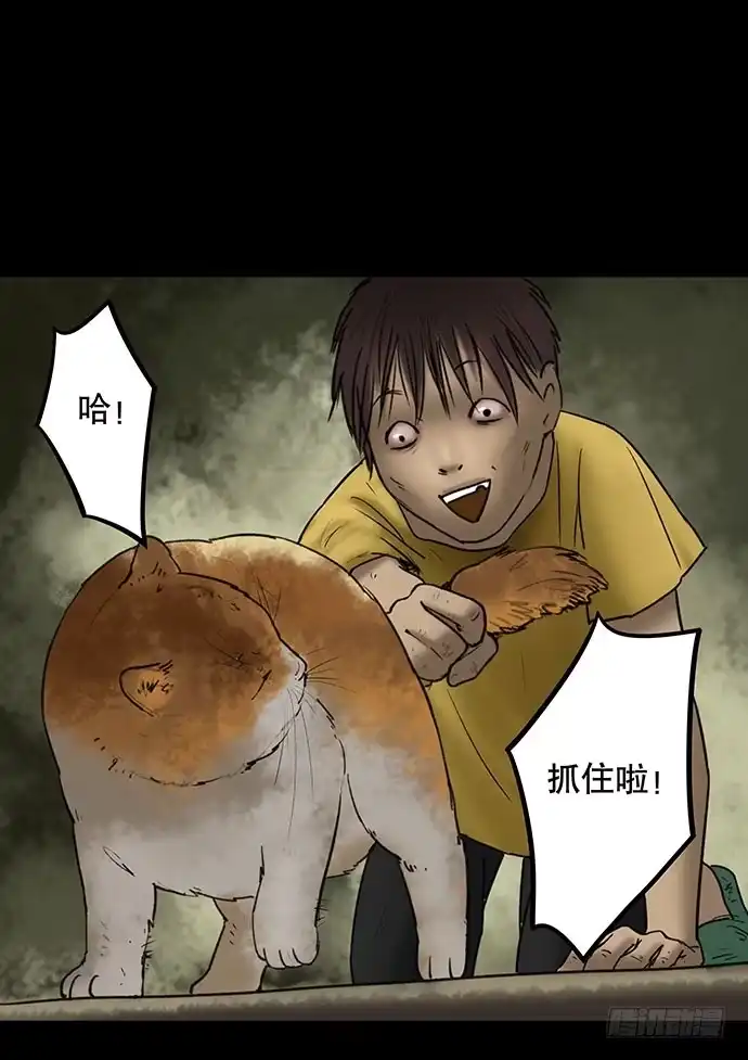 画诡 猫-5 第49页