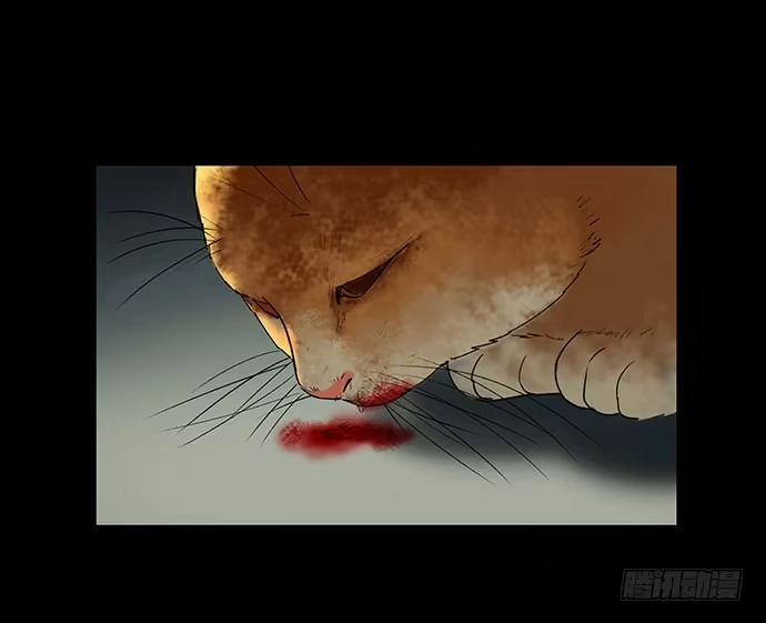 画诡 猫-5 第60页