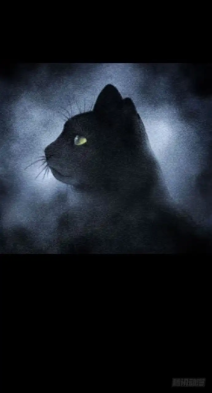 画诡 猫-5 第3页