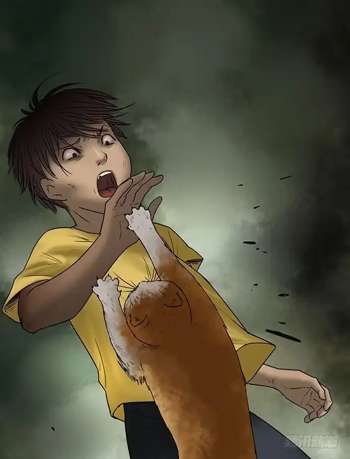画诡 猫-5 第54页