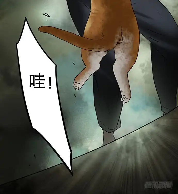 画诡 猫-5 第55页